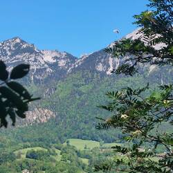 Drachenflieger waren einige unterwegs.