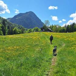 Im Anmarsch auf die Höllenbachalm.