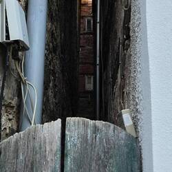 Da sind sogar gern Fenster