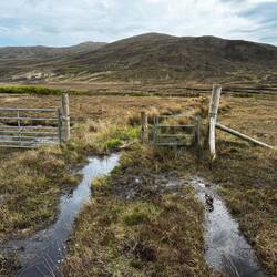 Das ist der Weg und ja wir mussten durch das Tor dort...