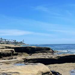 Plaża z bazaltowymi skałami