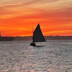 Nie ma jelenia ale jaki piękny gafel