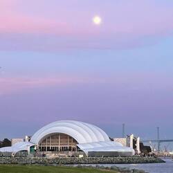 I niebo tym razem w różach i fioletach