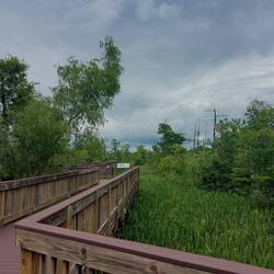 Kleiner Spaziergang, angelegt hinter der Rest Area.