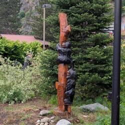 Only bears I saw