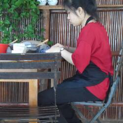 fabrication de nems pour le resto