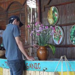 bouquet frais cueilli