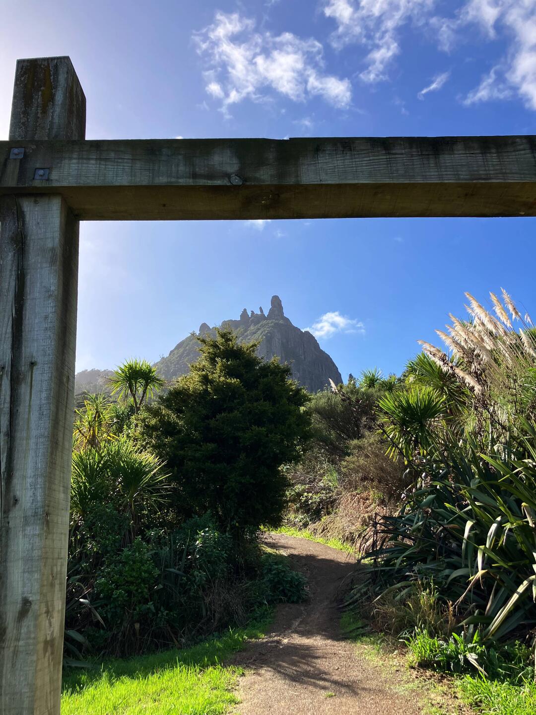 Ziel: Mt. Manaia