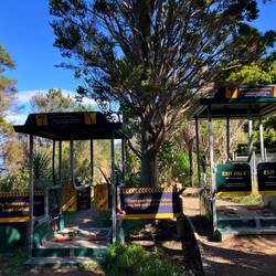 Desinfektionstation - wie an jedem Kauri-Wald