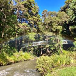 🌈 @ Whangarei Falls