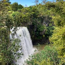 Whangarei Falls