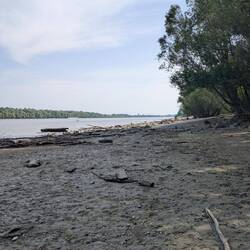 Schlammigste Stelle der Donau