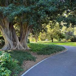 Adelaide Botanical Garden