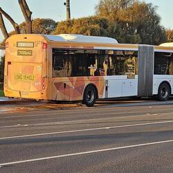 und Bus (91 Haltestellen, wir haben aber nicht überall gehalten) ...