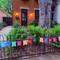 Neighbors decorated my yard to welcome me home