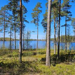 So stelle ich mir Finnland vor!