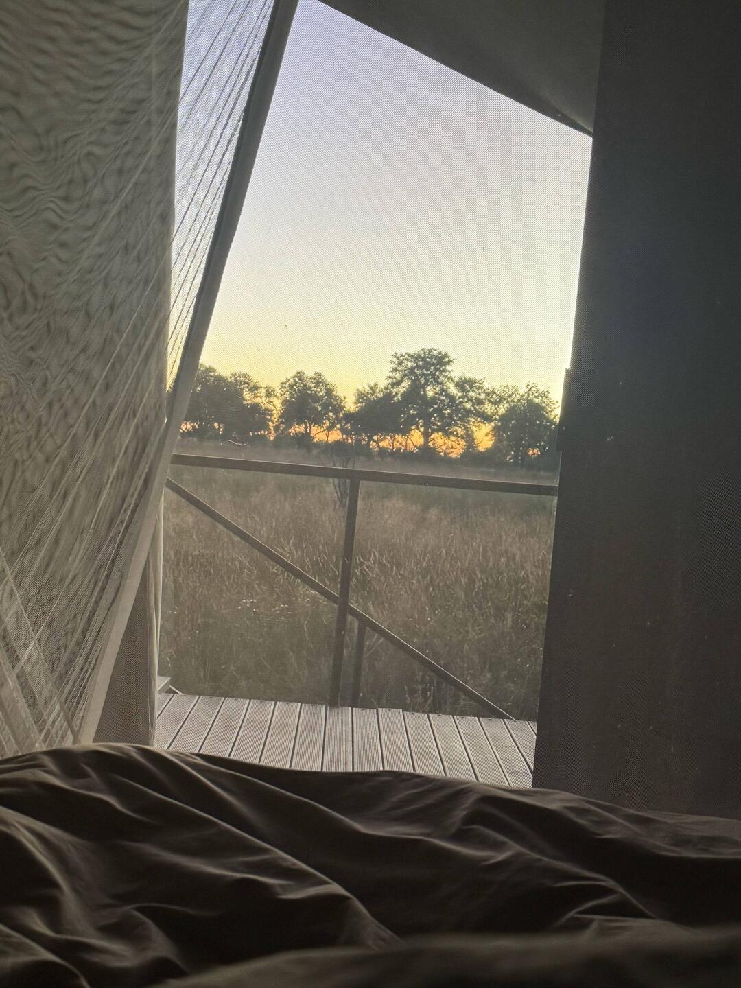 Guten Morgen ☀️