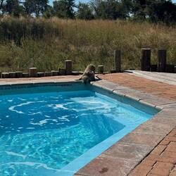 Da hat wohl jemand Durst