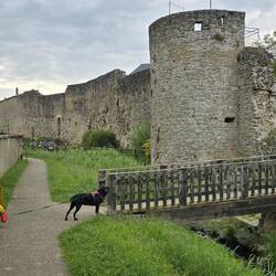 Impressive walls around the village give it the nickname Petite carcassonne
