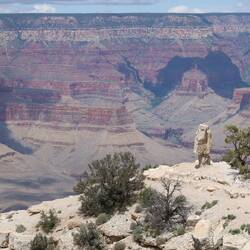 Shoshone Point, mit Picknickplatz und Toilette am Ziel.