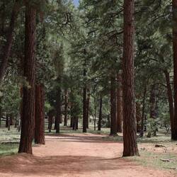 Auf dem Weg zum Shoshone Point