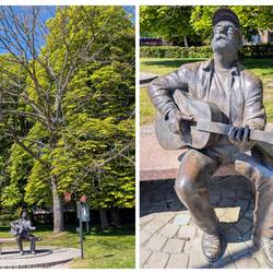 örtl. Sänger, aus einem Lautsprecher im Baum kam die passende Musik