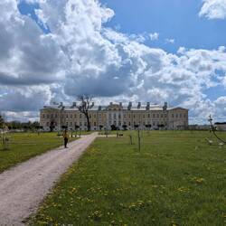 Apfelbaumzucht im Schlossgarten