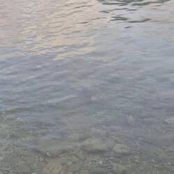 Wer findets zuerst? 😊