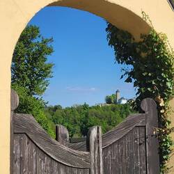 Burg Lichtenberg