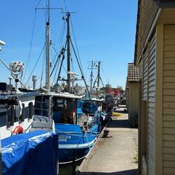 Der Hafen von Freest