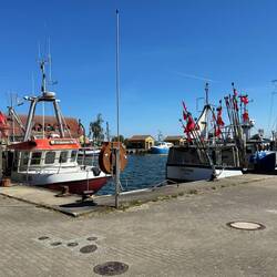 der Hafen von Freest