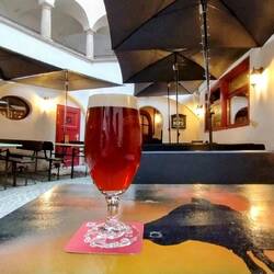 Home-brewed red ale at very recommended Hops craft pub