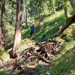 Wunderbare, für Frodo aber schwierige Wurzelwege....