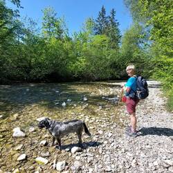 An der Weißen Traun.