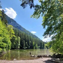 Ein Fliegenfischer am Taubensee....