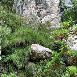 Kein Weg da, um nach oben zu kommen.