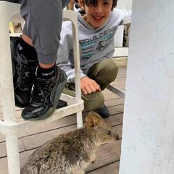 Thomas and Devin (I recognize those feet) with a quokka.