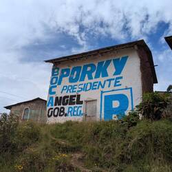 Lots of advertising for politicians along the way