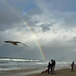 Ja der Himmel sieht jetzt nicht so toll aus, aber wenigstens ein Regenbogen😇