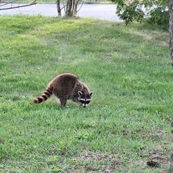 ... gleich neben den washrooms 😂