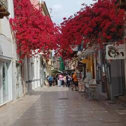 Mit vielen Blumen und Geschäfte