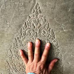 Wilder Bienenschwarm