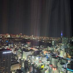 Shinjuku ist das bzw. eines der Rotlichtviertel Tokios