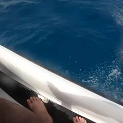 Go pro hat den Geist aufgegeben - des Video ist übrigens geblieben...