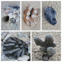 Darf Claudia "leider" nicht mitnehmen