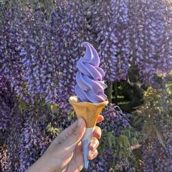 Glace goût glycine ( ça rappelle un peu la violette)