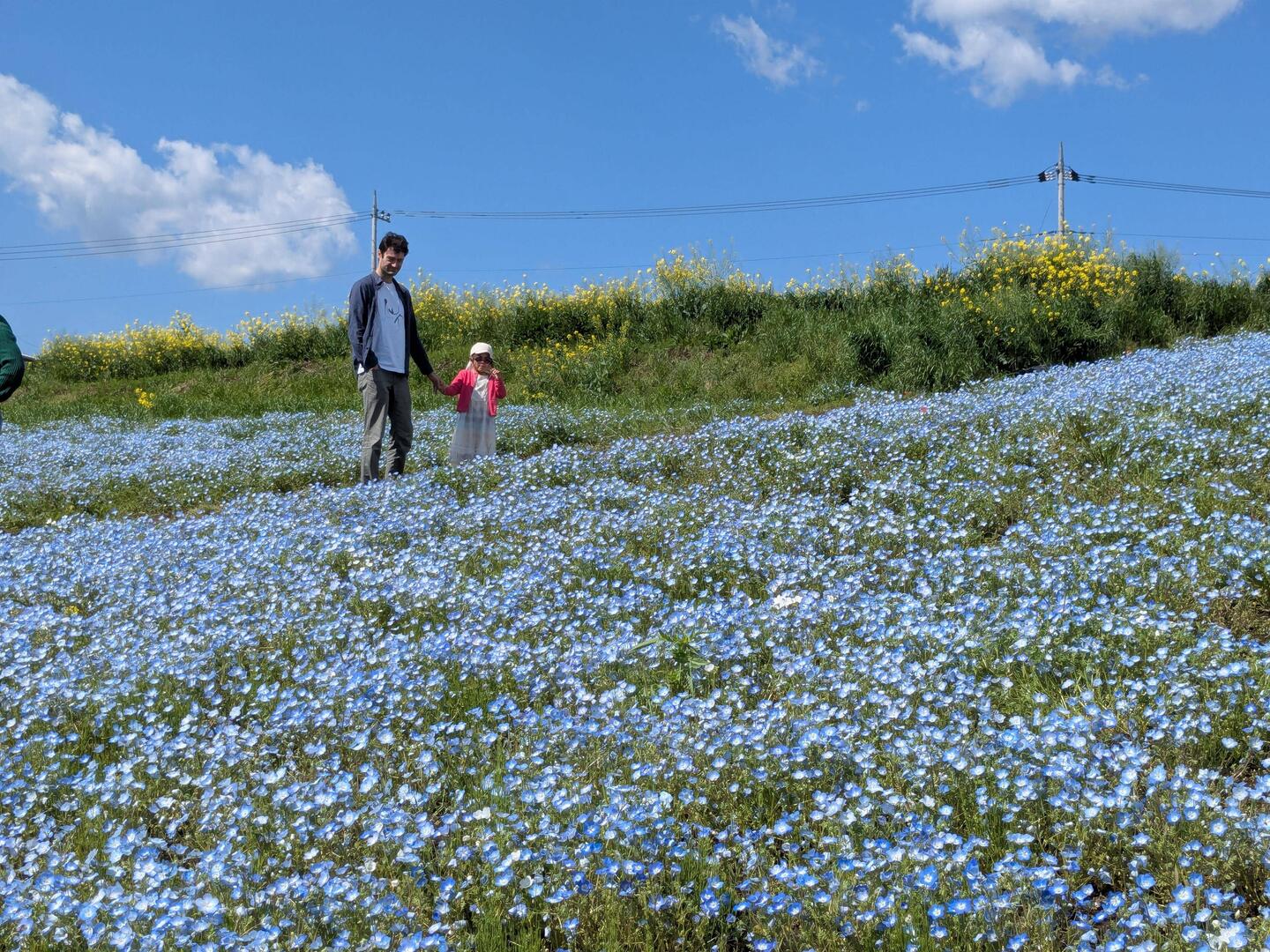 Hanadaka Observation Flower Hill
