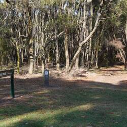 Ein schöner Weg durch einen ...