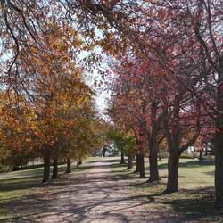 Weiter durch den Herbst zu den Aussichtspunkten: