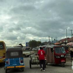 ...alle Möglichkeiten des Transportes werden genutzt...